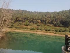 -九龙潭景区
