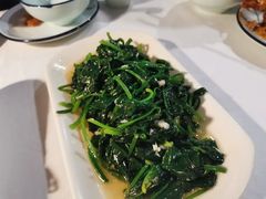 -云中小雅