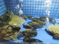 -91小龙虾·香辣蛙(蛇口店)