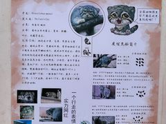 -青藏高原野生动物园