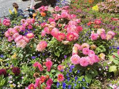 -苏州上方山国家森林公园