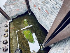 -几荷·恰似故人来(秀水广场店)