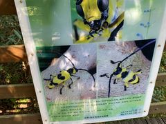 -野象谷景区