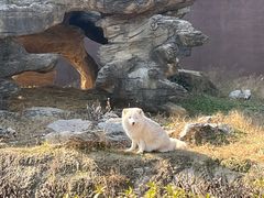 -杭州野生动物世界
