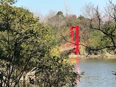 -上海吴淞炮台湾国家湿地公园