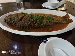 红烧黄河大鲤鱼-河南食府(人民路店)