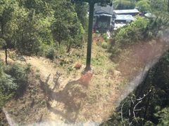 -玉苍山国家森林公园