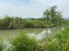 -下渚湖国家湿地公园科普馆