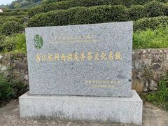 -龙井村