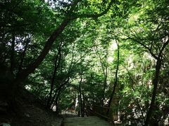 -北京上方山国家森林公园