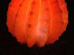 -党河风情线国家水利风景区