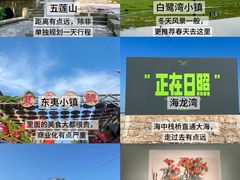 -日照海滨国家森林公园
