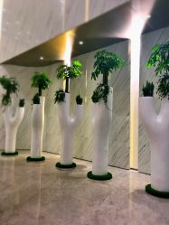 -MJ skin care国际皮肤管理中心