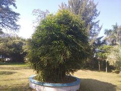 -北海市海滨公园