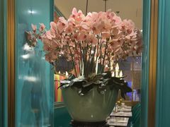 -雀蓝川菜(星悦汇店)