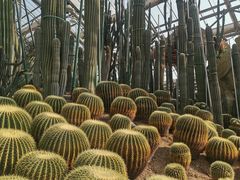 -南山植物园
