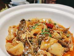 -谢氏老金口渔村(王家墩店)