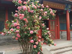 -齐白石旧居纪念馆