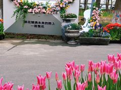 -上海鲜花港