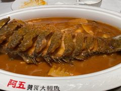 -阿五黄河大鲤鱼(海尚店)