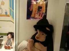 -济州岛泰迪熊博物馆