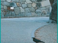-名古屋城