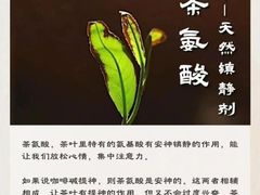 -华祥苑茶馆•国缤茶小蓝罐(普罗旺斯店)