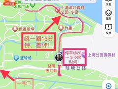 -上海滨江森林公园