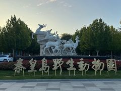 -秦皇岛野生动物园