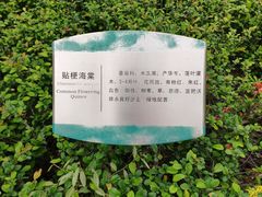 -白塘生态植物园