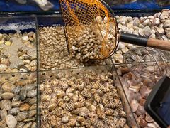 -高佳庄·舟山海鲜(海景旗舰店)