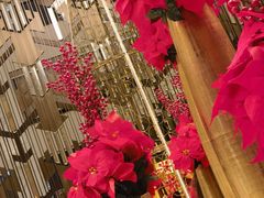 -康莱德酒店·美庭自助餐厅