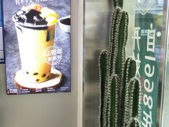 -仙雨林·奶茶鲜果茶(书院巷店)