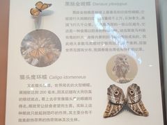 -天津自然博物馆