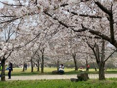 -苏州上方山国家森林公园