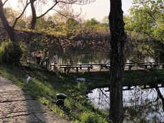 -西溪国家湿地公园