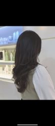 -爱维丽