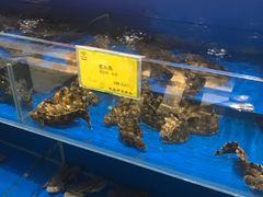 -新海渔港·胶东海鲜家常菜·家宴(奥体中心店)