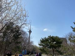 -中央电视塔旋转餐厅