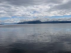 -洱海月湿地公园