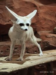 -Zoolung Zoolung动物主题公园(海信广场店)