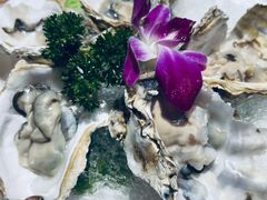 -董家湾重庆老火锅(嘉华店)