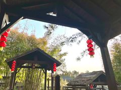 -崇阳三特浪口温泉