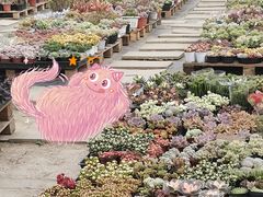 -三圣花乡旅游区