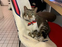 -ID.PHOTO照相馆(嘉里企业中心店)