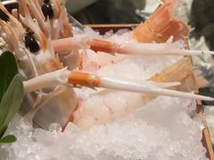 -普朗姆生蚝吧(原建国路店)