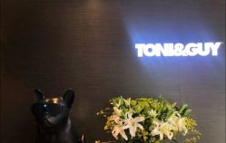 -TONI&GUY
