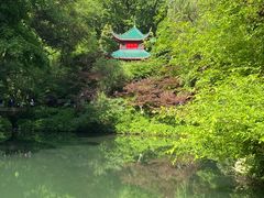 -岳麓山风景名胜区