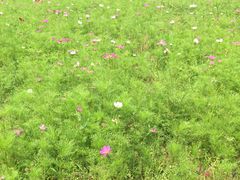 -金陵科技学院江宁校区-图书馆