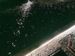 -DGE季风钓虾营地·团建·聚会